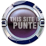 Punterlink